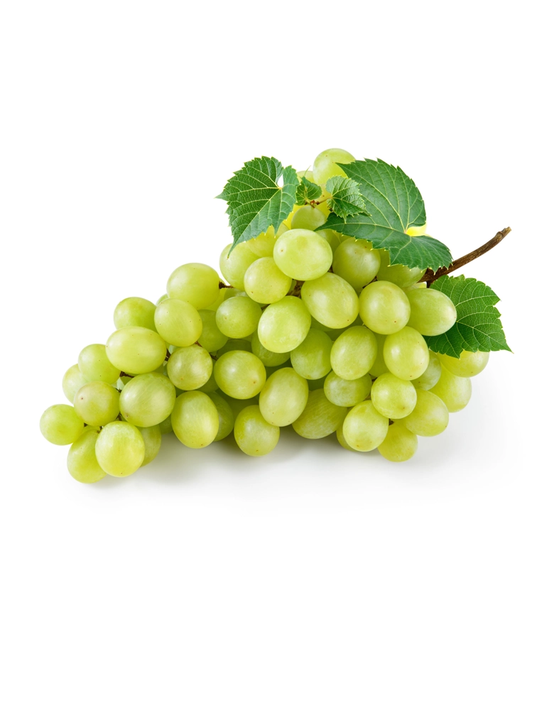 White Grape Juice Concentrate Product
